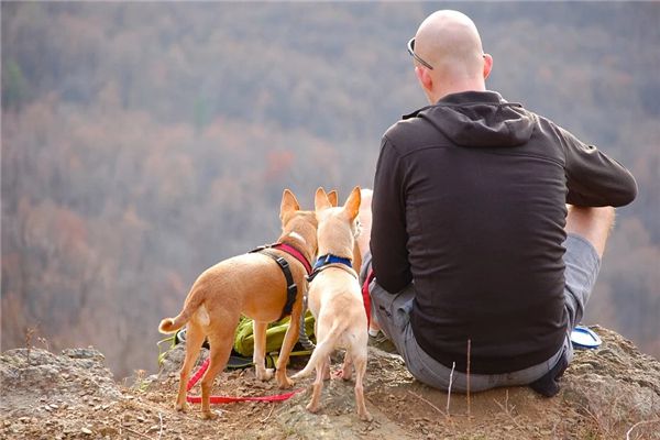 【꿈해몽】꿈에서 대머리 남자의 의미와 상징