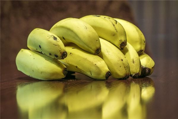 【꿈해몽】바나나 꿈에서 바나나의 의미와 상징
