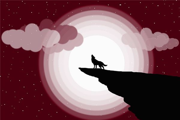 꿈에서 늑대의 울음은 무엇을 의미합니까? 꿈의 점