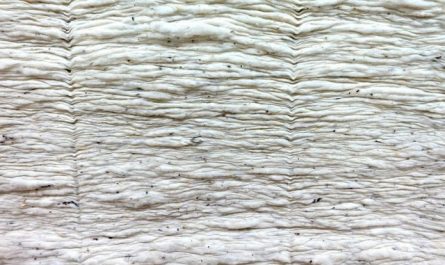 【꿈해몽】목화에 관한 꿈: 40가지 시나리오와 해석