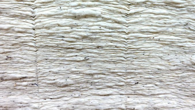 【꿈해몽】목화에 관한 꿈: 40가지 시나리오와 해석