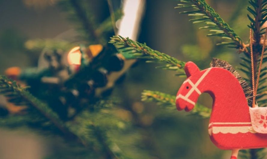 【꿈해몽】성스러운 나무의 꿈 : 6가지 의미와 상징