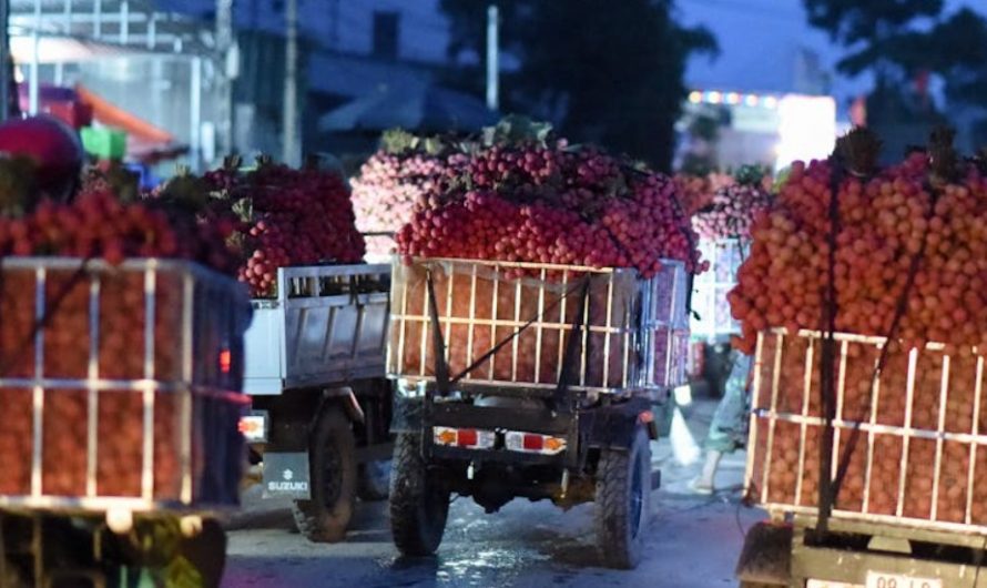 【꿈해몽】새벽을 꿈꾸다: 9가지 의미와 상징