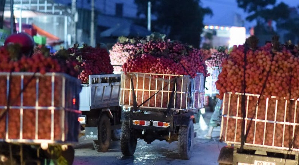 【꿈해몽】새벽을 꿈꾸다: 9가지 의미와 상징