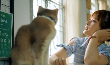 【꿈해몽】애완동물이 말하는 꿈: 8가지 의미와 상징